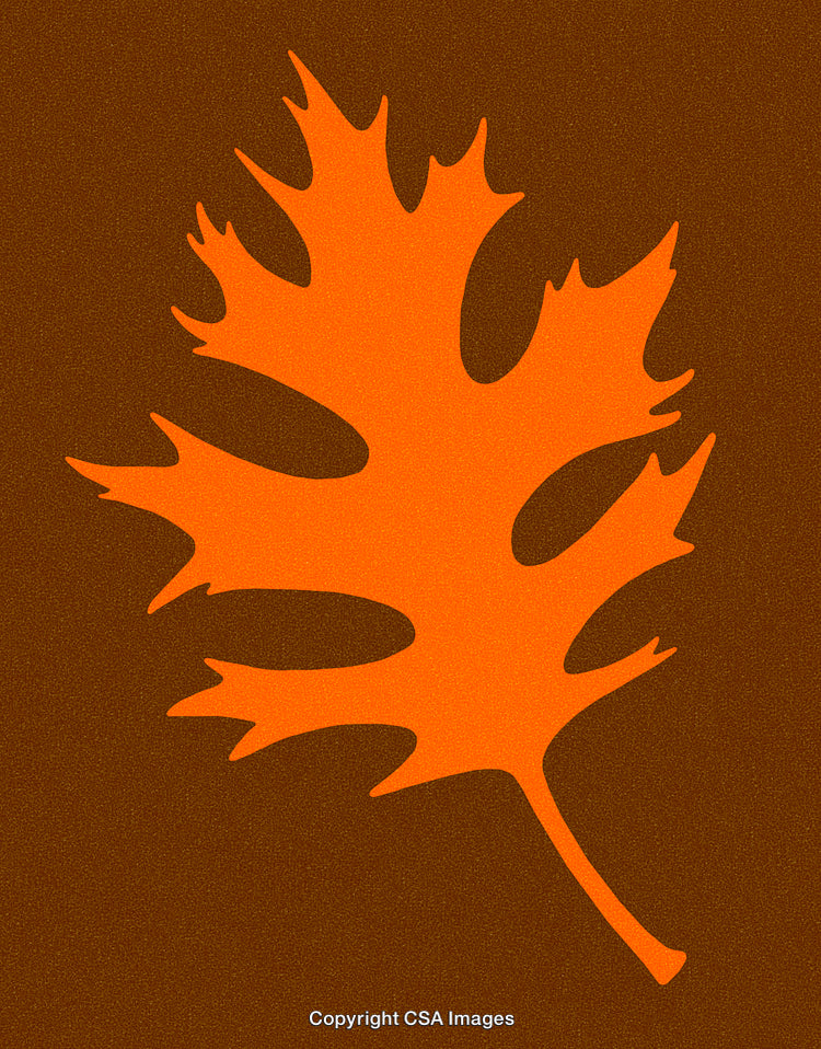 Stylized Orange Autumn Leaf Against Solid Brown Background
