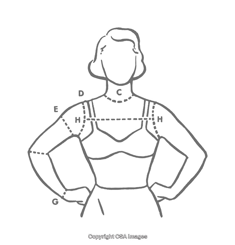 Illustration Depicting Body Measurement Diagram with Marked Lines and Labels