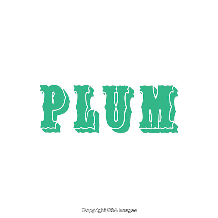 Decorative Green Typography Displaying the Word Plum on a White Background