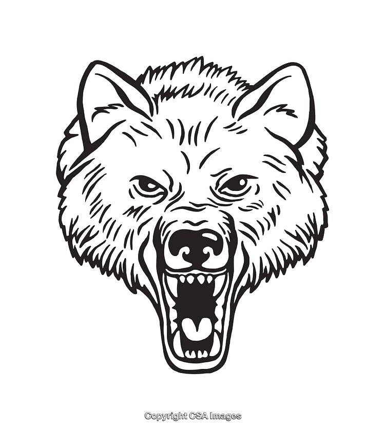 Fierce Black and White Line Art Illustration of a Growling Wolf Head