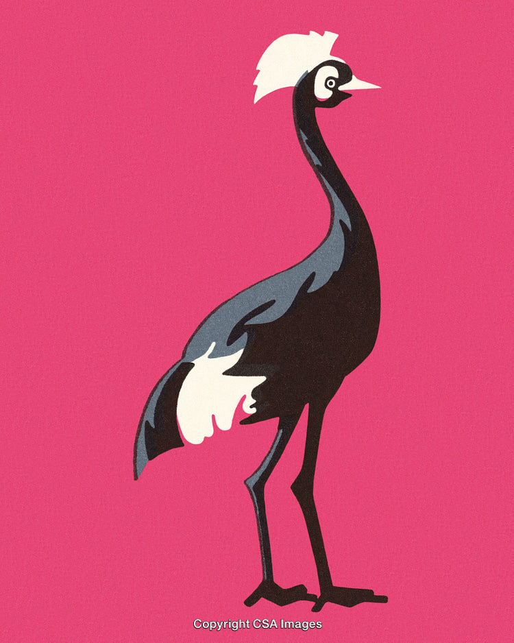 Stylized Illustration of a Crane on a Vibrant Pink Background