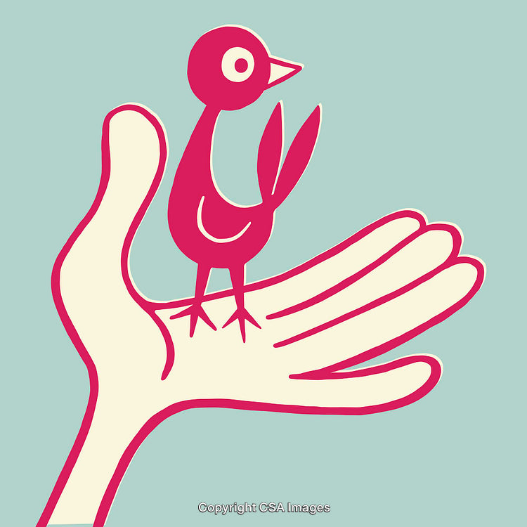 Minimalist Line Art Illustration of a Bird Resting on a Hand