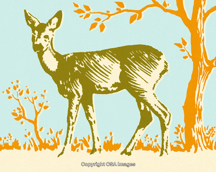 Vintage Illustration of a Graceful Deer Amidst Delicate Trees in a Natural Setting