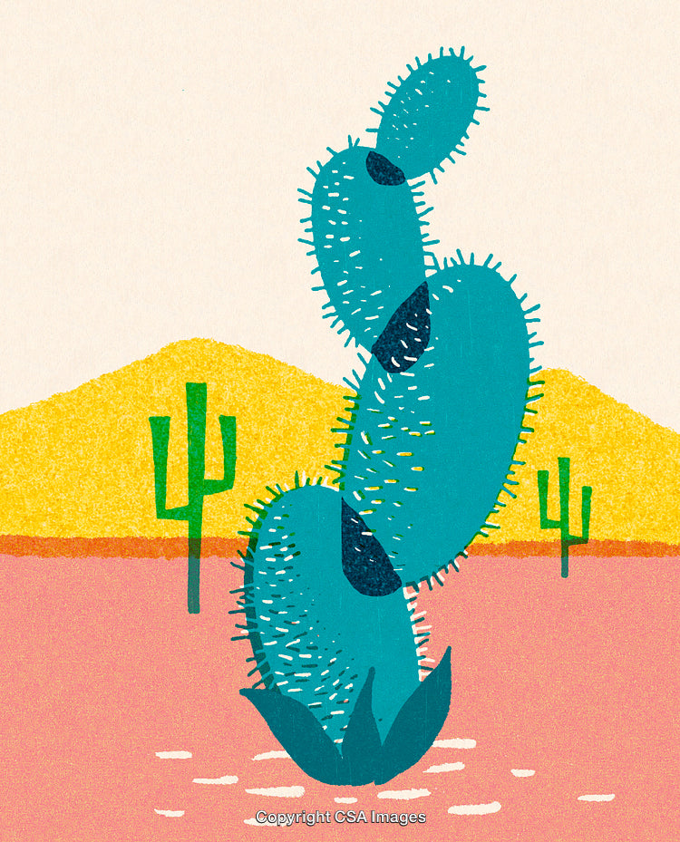 Colorful Illustration of a Vibrant Cactus in a Desert Landscape