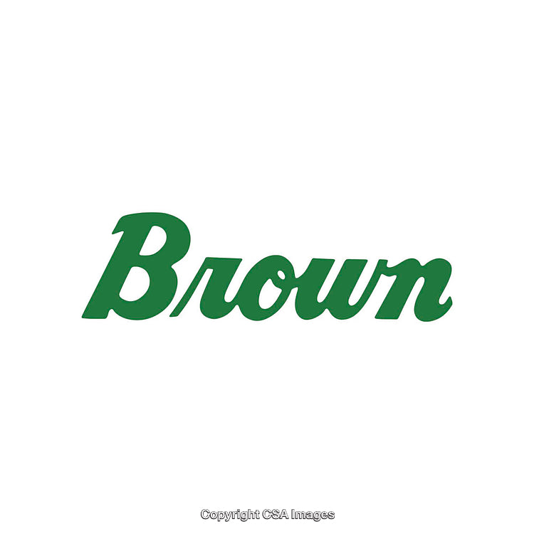 Green Text Logo on White Background in Script Typeface Style