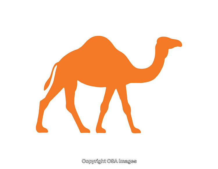 Bold Orange Camel Icon on White Background