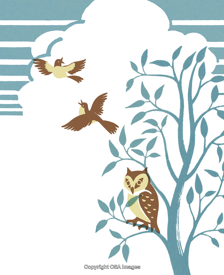 Illustration of Birds and Owl in a Tree with Nature Elements