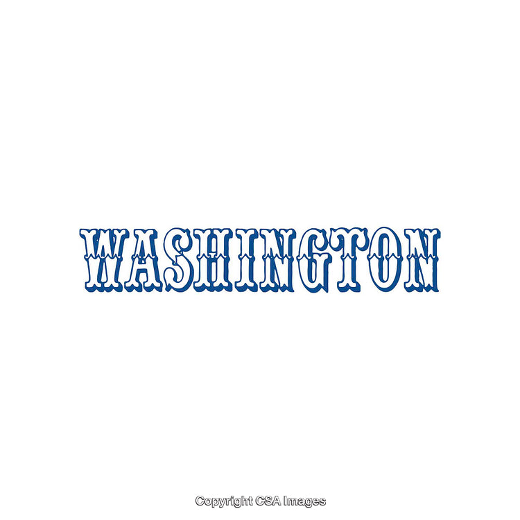 Text Design Featuring the Word 'Washington' in Bold Blue Lettering