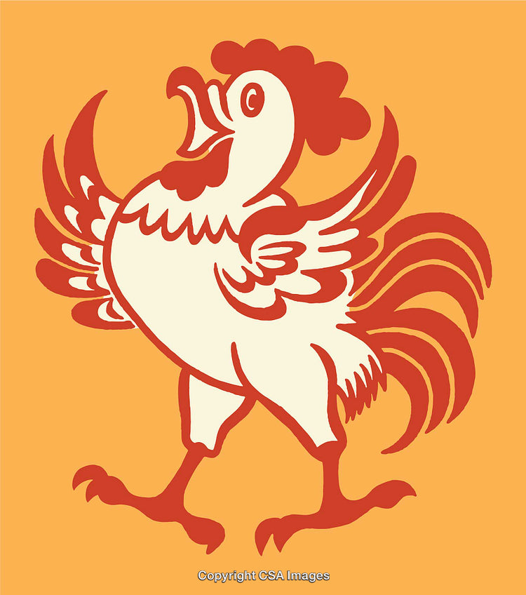 Colorful Rooster Illustration in Bold Line Art on Orange Background