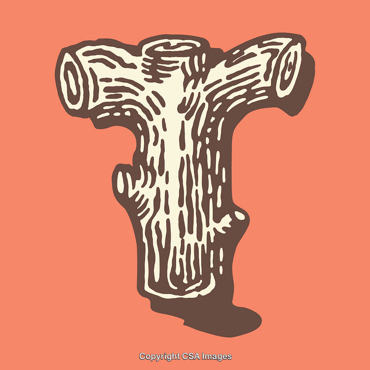 Rustic Wood Texture Letter T on Vibrant Coral Background