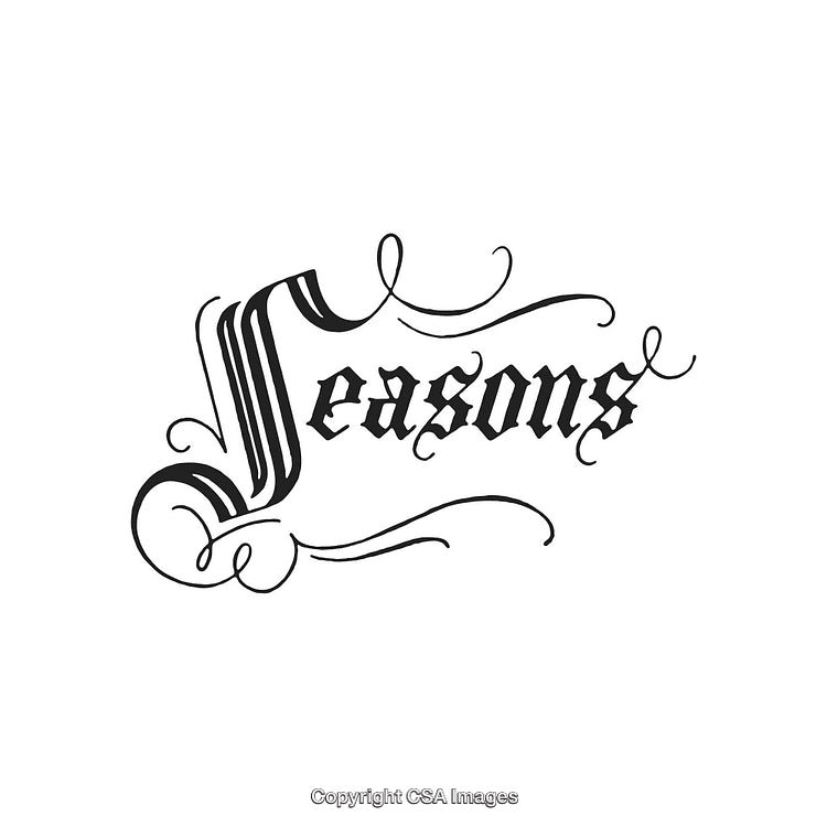 Elegant Ornate Typography of the Word Seasons with Decorative Flourishes