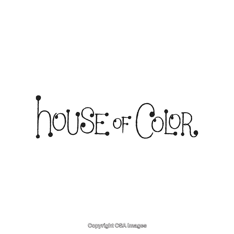 Creative Typography Design Featuring House of Color Text with Unique Style