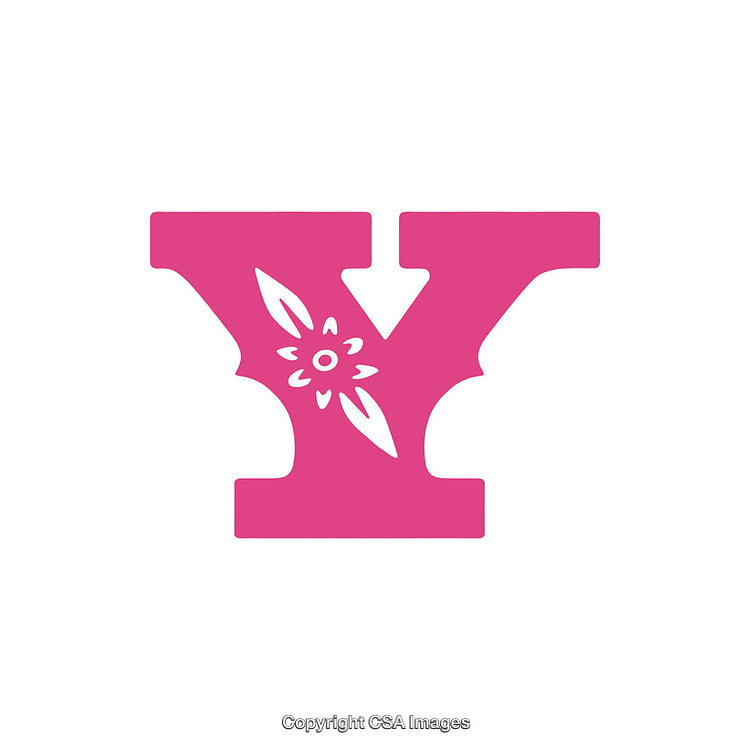 Pink Decorative Letter Y With Floral Pattern on White Background