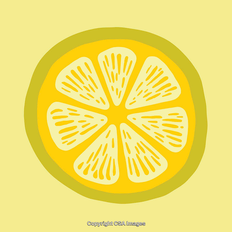 Yellow Lemon Slice Illustration with Minimalistic Color Line Art Design