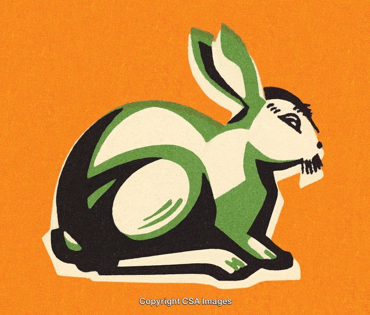 Stylized Green Rabbit Illustration on Vibrant Orange Background