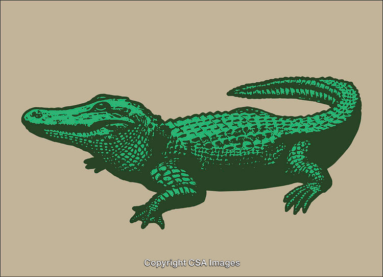 Colorful Line Art Illustration of a Green Alligator on a Beige Background