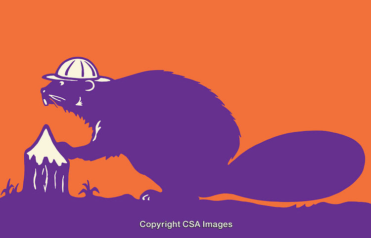 Colorful Line Art Illustration of a Beaver Wearing a Construction Hat