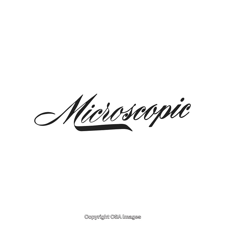 Elegant Black Script Text Design Featuring the Word Microscopic on White