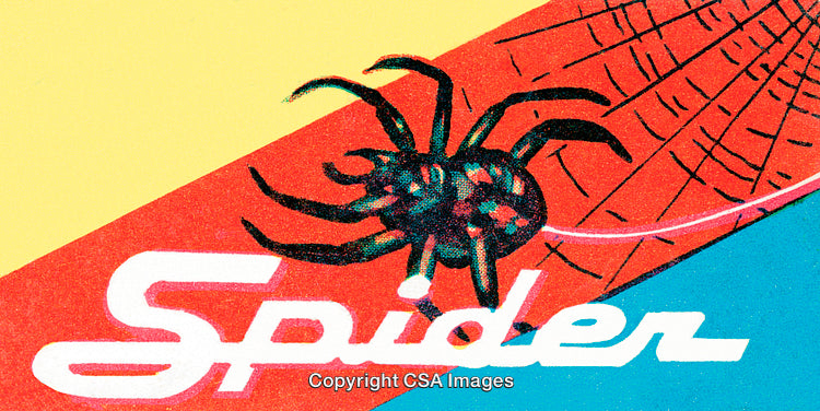 Colorful Spider Illustration with Web and Artistic Typography Display