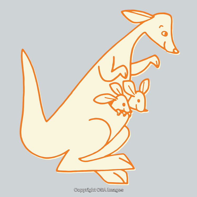 Cute Kangaroo Line Art Illustration with Joeys in Pouch