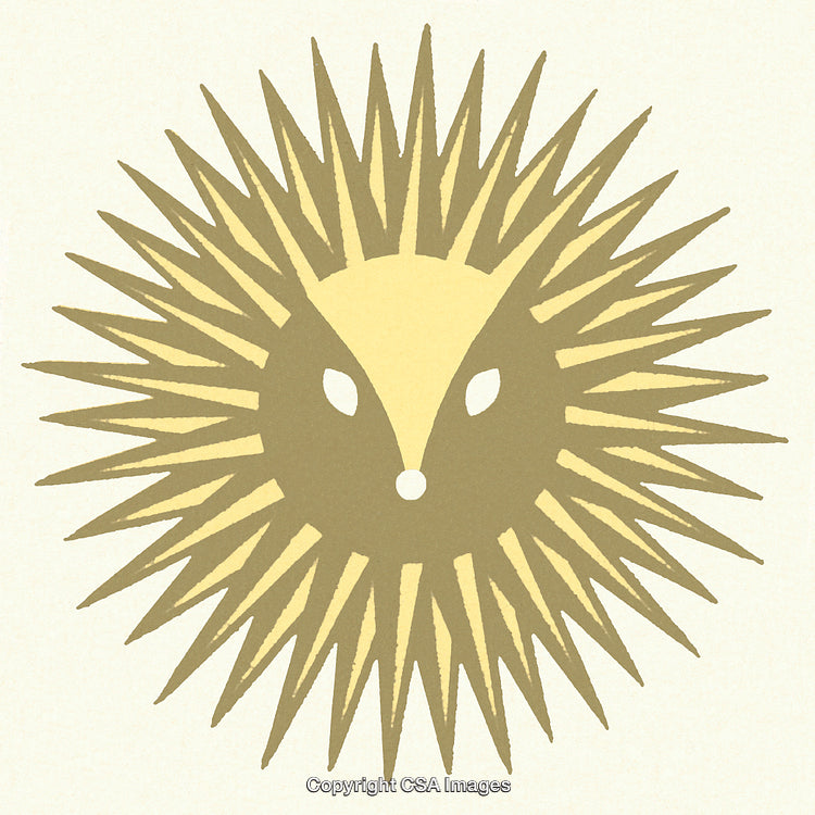 Abstract Sunburst Design Featuring a Minimalist Hedgehog Face Illustration