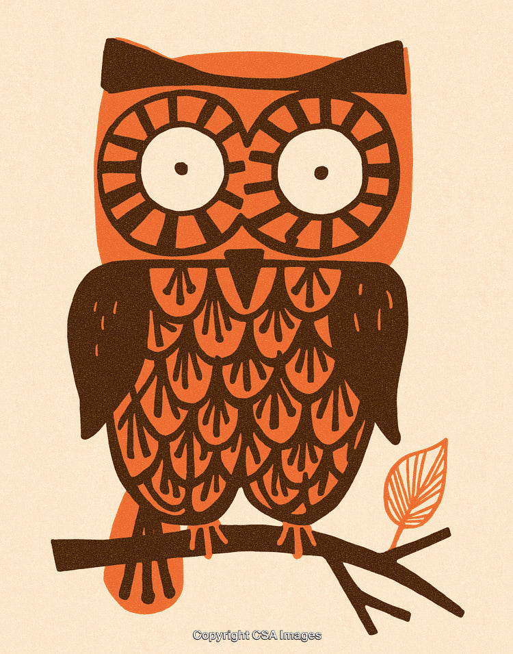 Retro Styled Illustration of an Owl Perched on a Branch with Geometric Patterns