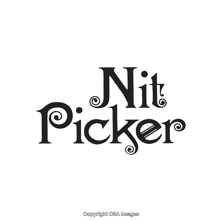 Elegant Typography Design Featuring the Phrase 'Nit Picker' With a Whimsical Style