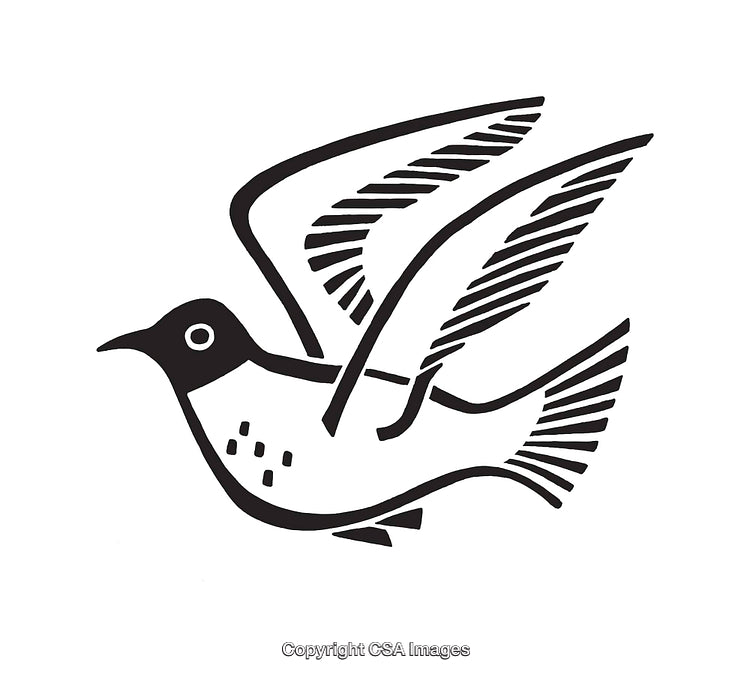 Stylized Black and White Illustration of a Bird in Flight