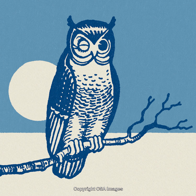 Stylized Illustration of a Winking Owl Perched on a Branch During Moonlit Night