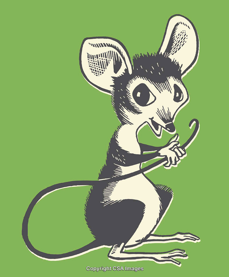 Charming Mouse Illustration With Whimsical Style and Playful Appeal on Green Background