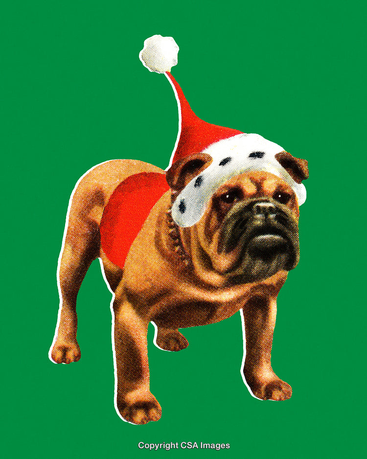 Adorable Bulldog Wearing Santa Hat Against Green Festive Background