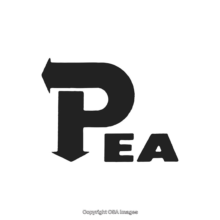 Creative Logo Design Featuring Stylized Letter P and E with Black Arrows