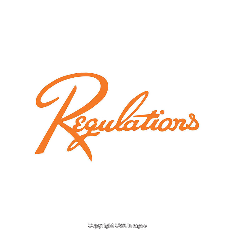 Elegant Calligraphy Text Rendering in Vibrant Orange on a White Background