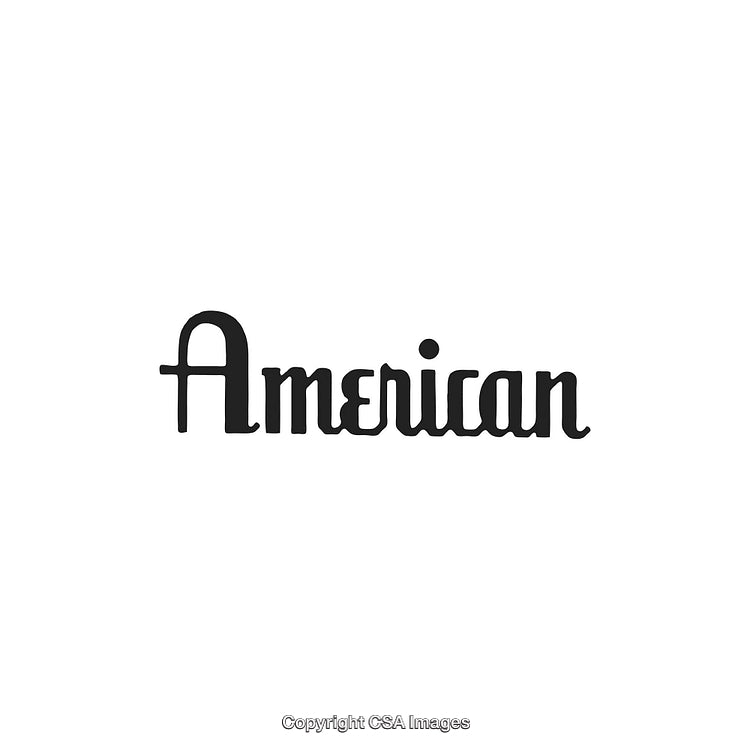 Elegant Black Text Design Spelling American on a White Background