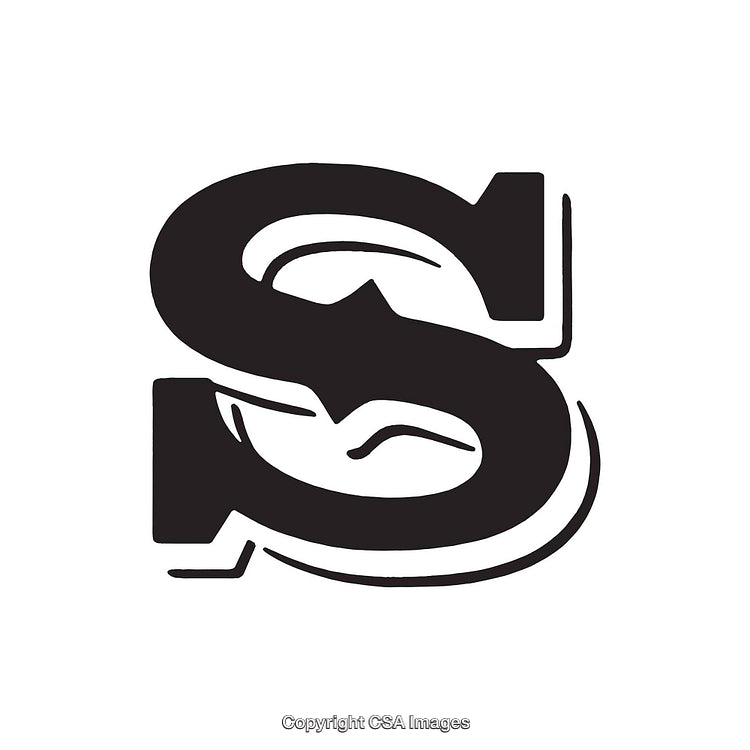 Creative Stylized Letter S in Black and White Design