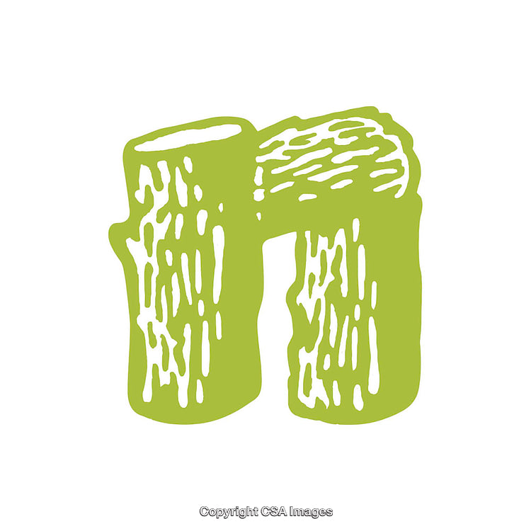 Green Artistic Representation of the Letter N with Textured Wood Design