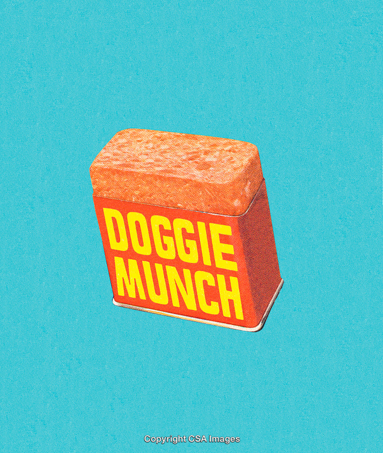 Brightly Decorated Dog Food Packaging on a Vibrant Background
