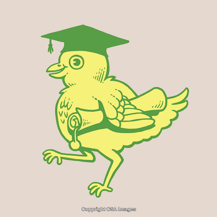 Cute Bird Graduate with Diploma in Cap and Gown Illustration