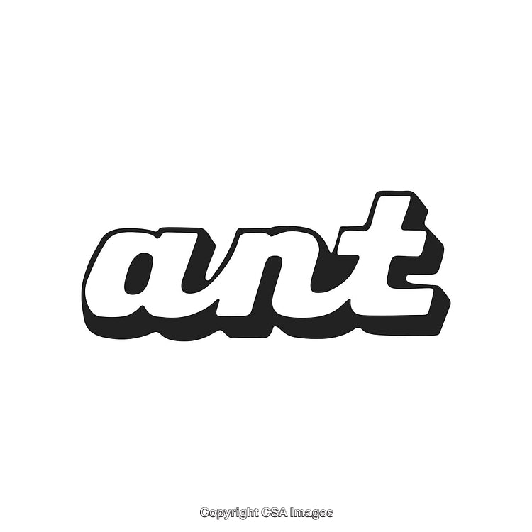 Black and White Ant Word Graphic With Bold Typographic Design Style