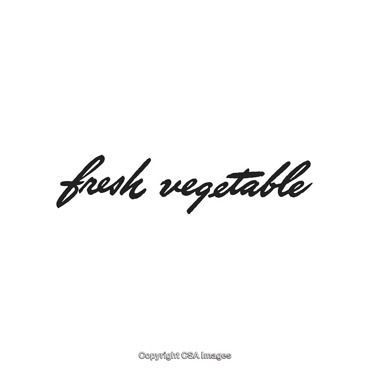 Elegant Handwritten Typography Featuring 'Fresh Vegetable' Text in Black Ink on White
