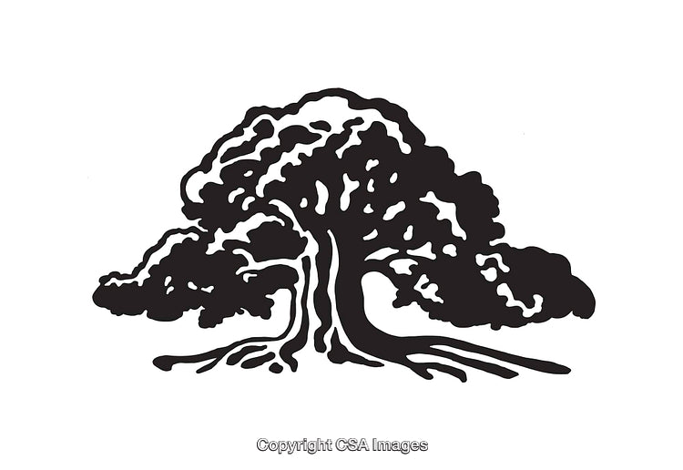 Black and White Line Art Illustration of a Flourishing Tree Design