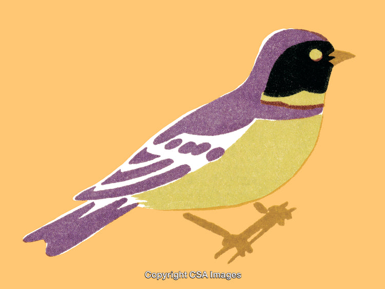 Illustration of a Colorful Songbird Perched on a Branch with Simple Background