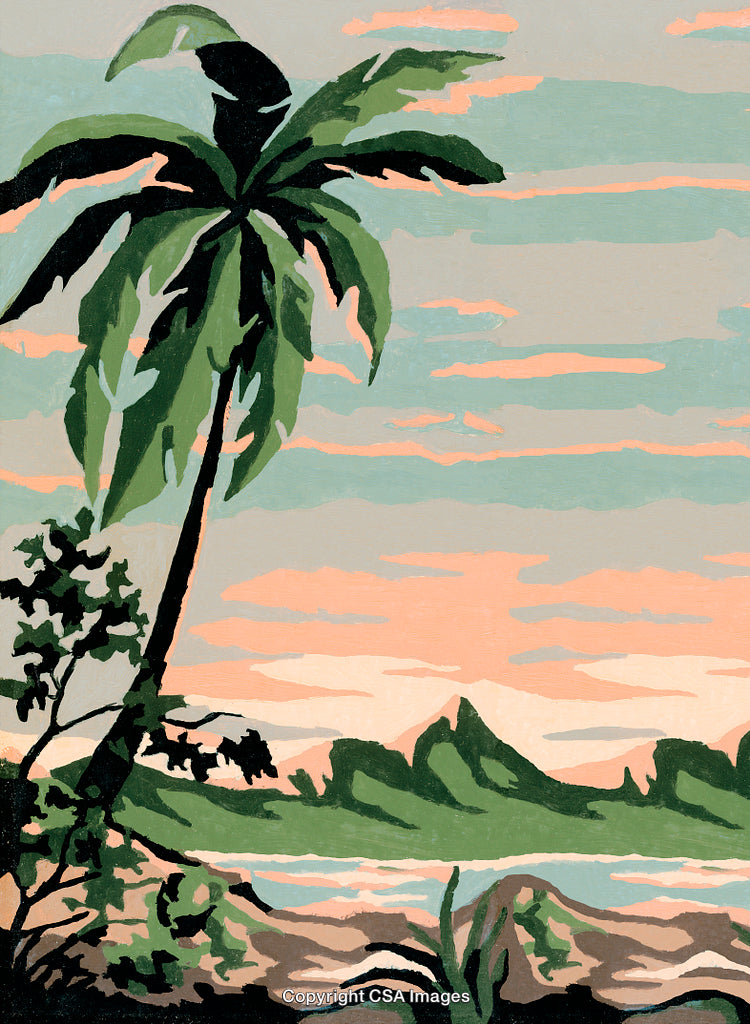 Scenic Tropical Landscape With Palm Tree and Serene Sunset