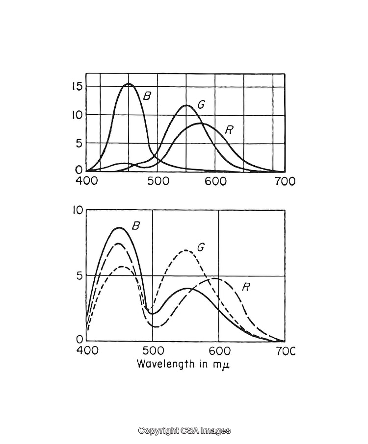 Scientific Black and White Graph Showing Wavelength vs. Intensity Curves