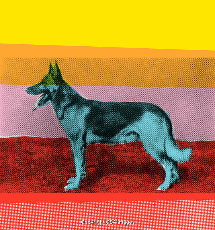 Colorful Stylized Dog Portrait With Retro Halftone Effects and Bold Colors