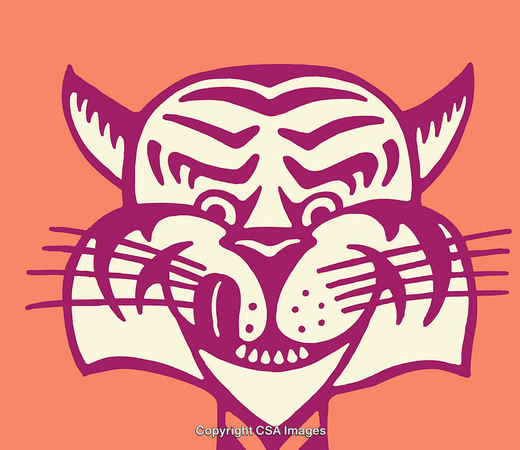 Stylized Line Art Illustration of a Cat on a Vibrant Background