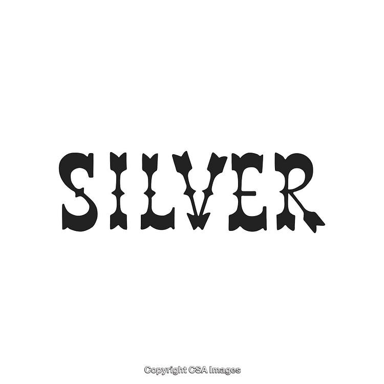 Stylized Silver Wordmark Design on a White Background in Bold Typographic Style