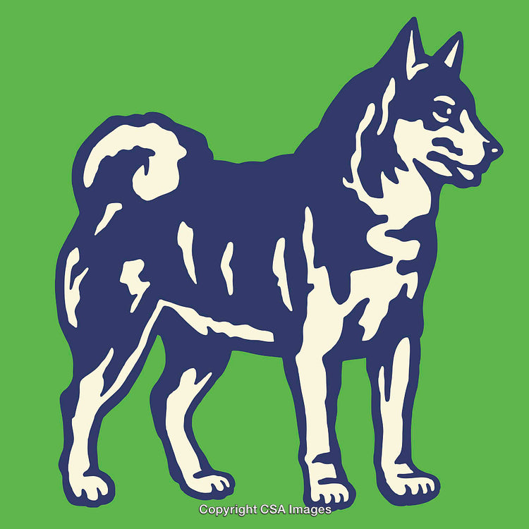 Colorful Illustration of a Dog in Bold Graphic Style on Green Background