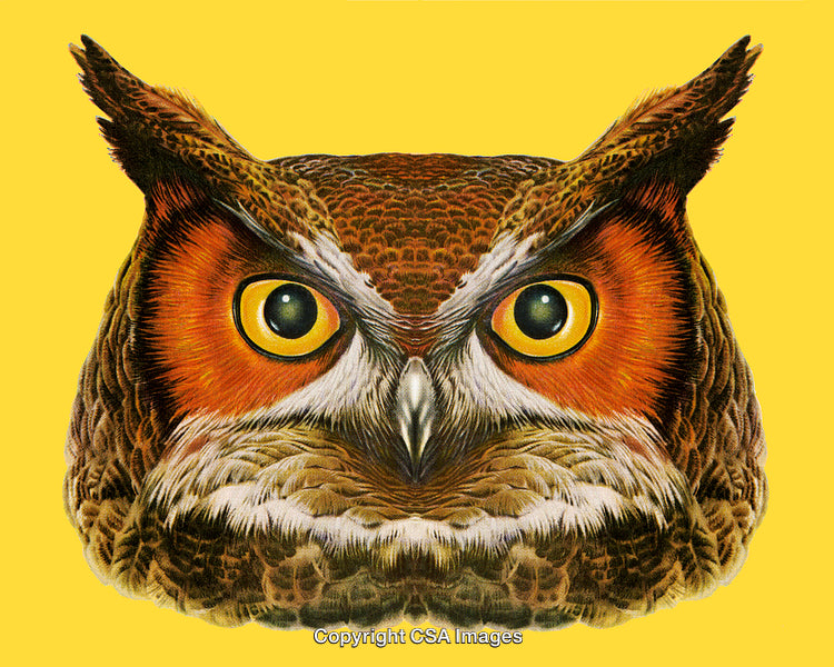 Detailed Owl Illustration on Vibrant Yellow Background with Bright Orange Eyes