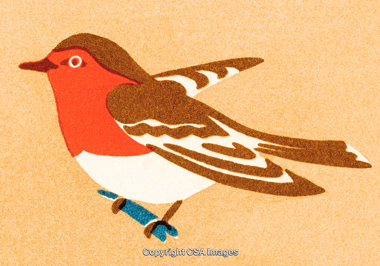 Colorful Illustration of a Robin with Intricate Feather Patterns on Beige Background